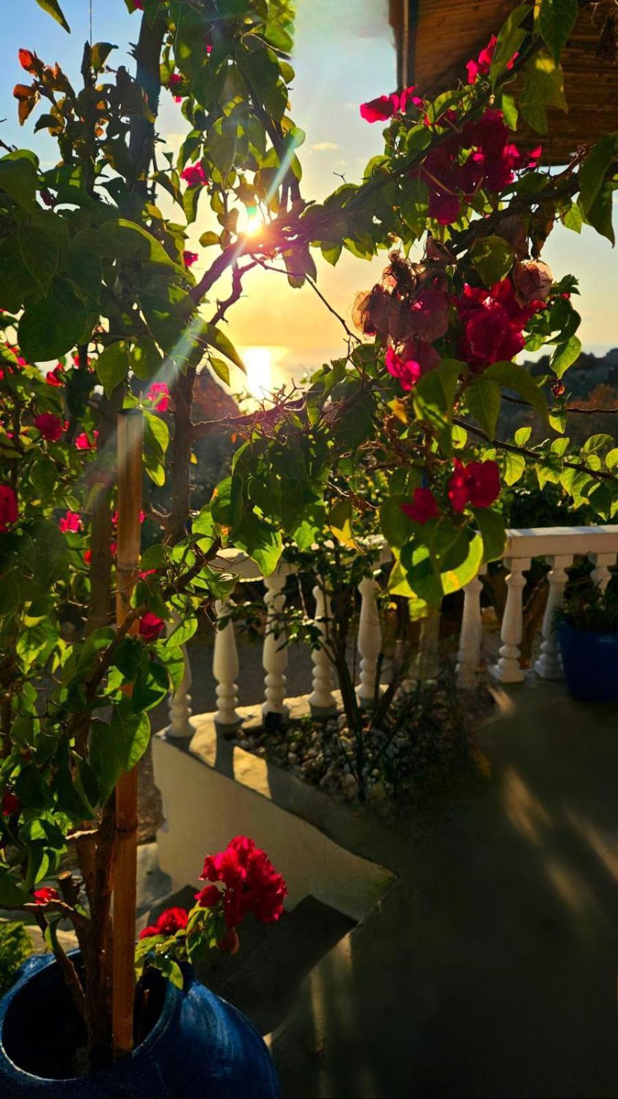 Aegean Serenity - Sea View Retreat อาร์คานเยโลส ภายนอก รูปภาพ